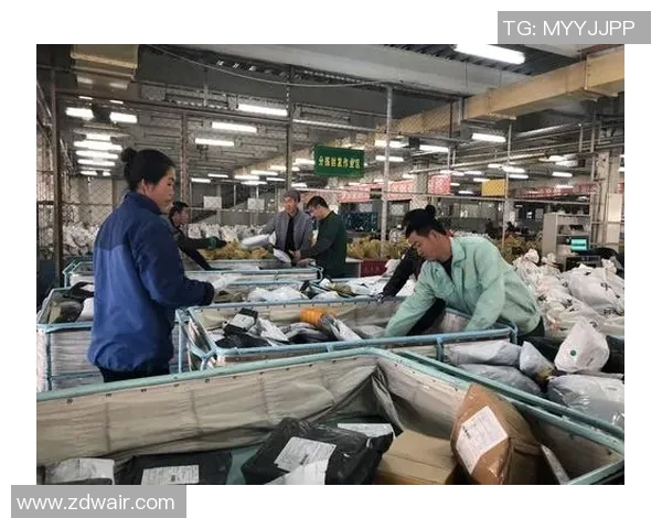 对话刘磊：回顾英雄联盟职业生涯的挑战与成就