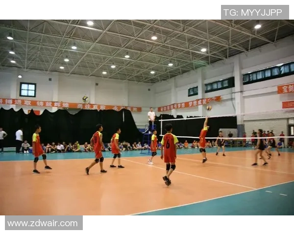 专访刘强：探寻排球背后的成功秘诀与发展之路